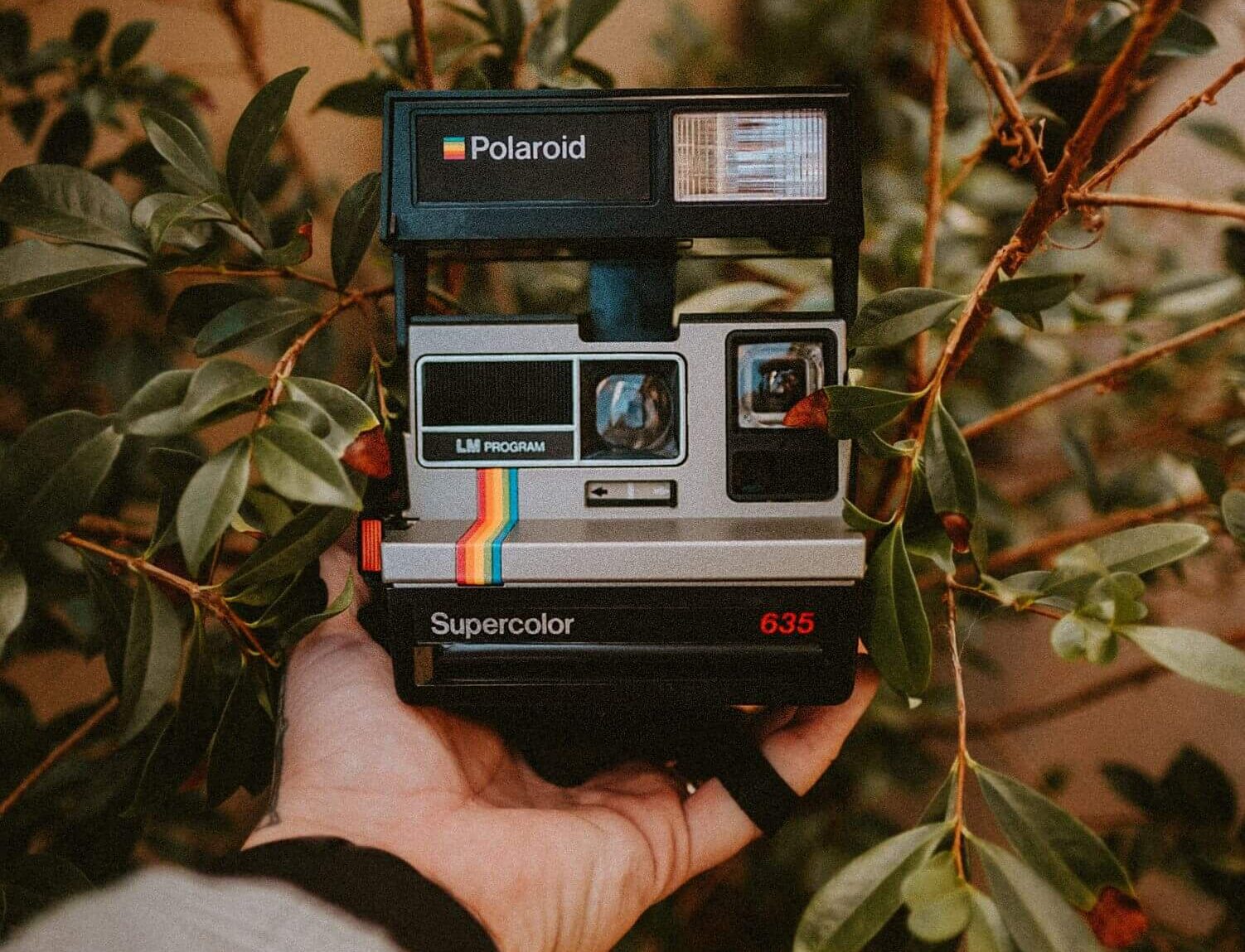 guy holding out a vintage polaroid 600 camera