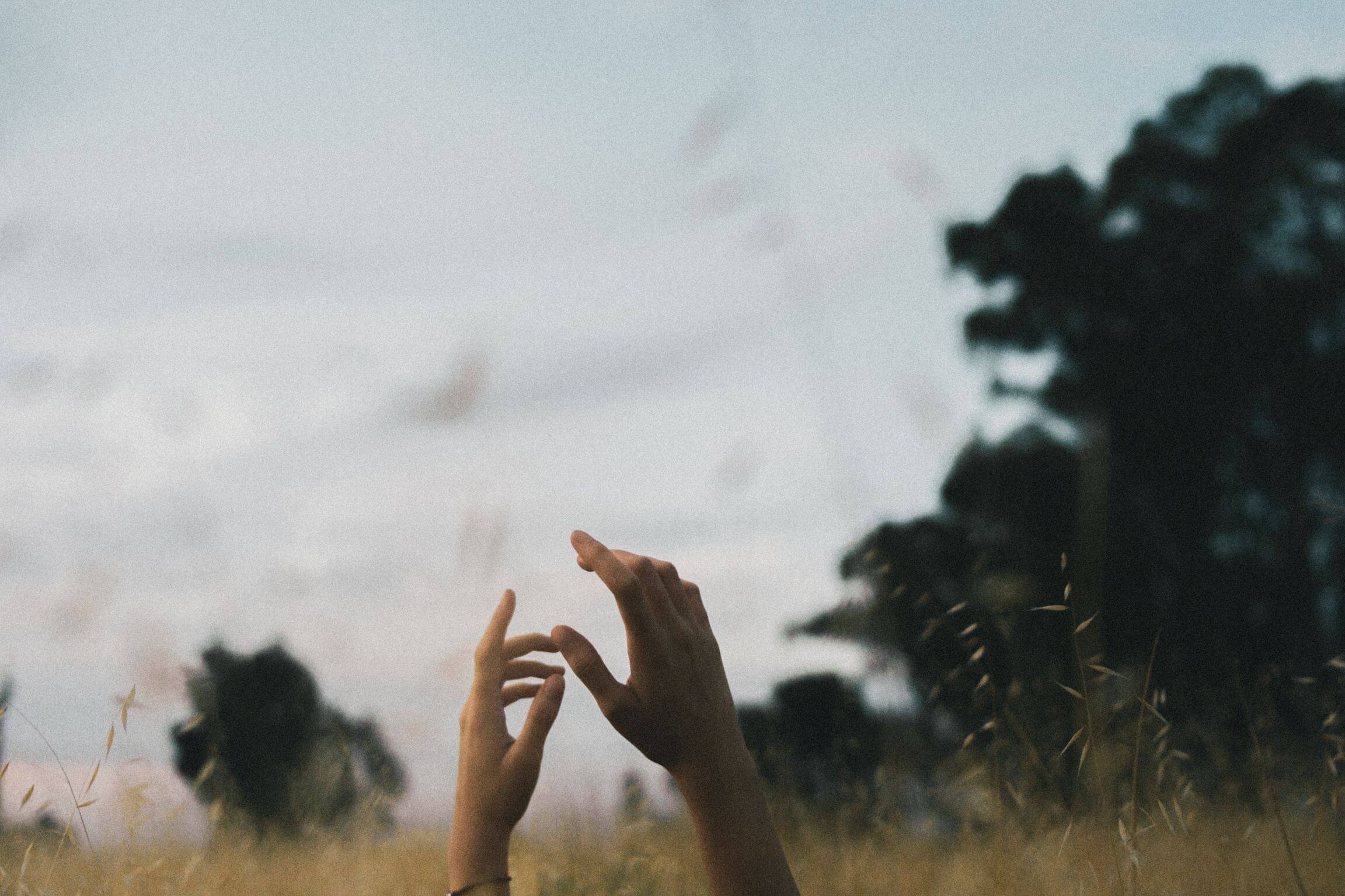 hands in a field shot on film